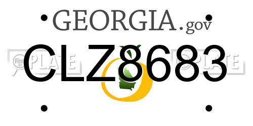 CLZ8683 Georgia License Plate