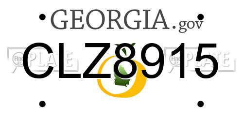 CLZ8915 Georgia License Plate