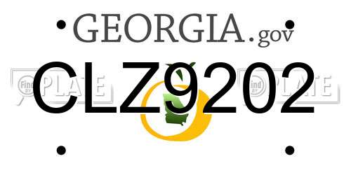 CLZ9202 Georgia License Plate