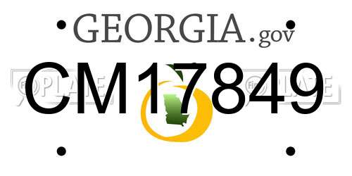 CM17849 Georgia License Plate
