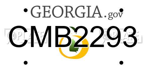 CMB2293 Georgia License Plate