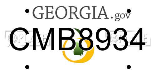 CMB8934 Georgia License Plate