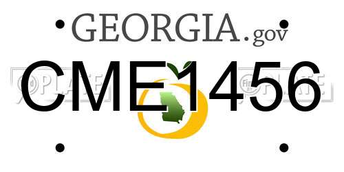 CME1456 Georgia License Plate