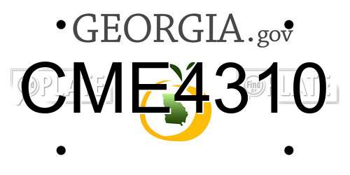 CME4310 Georgia License Plate