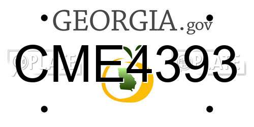 CME4393 Georgia License Plate