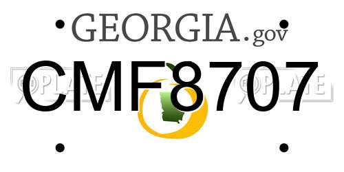 CMF8707 Georgia License Plate