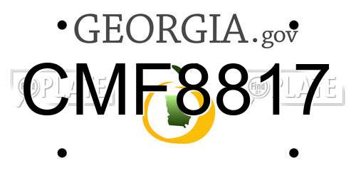 CMF8817 Georgia License Plate