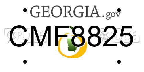 CMF8825 Georgia License Plate