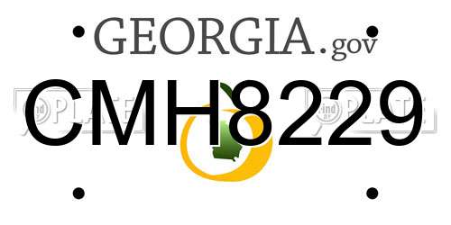 CMH8229 Georgia License Plate