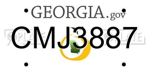 CMJ3887 Georgia License Plate