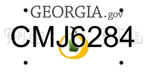 CMJ6284 Georgia License Plate