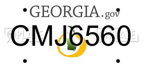 CMJ6560 Georgia License Plate