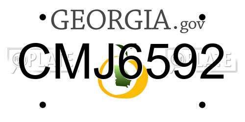 CMJ6592 Georgia License Plate