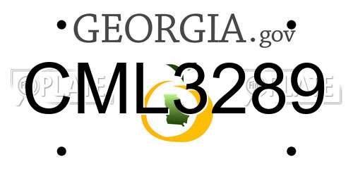 CML3289 Georgia License Plate