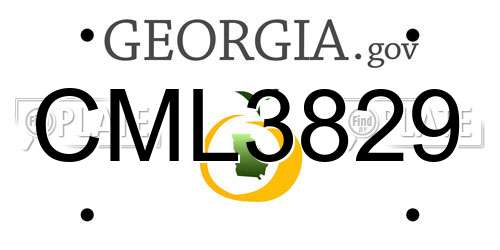 CML3829 Georgia License Plate