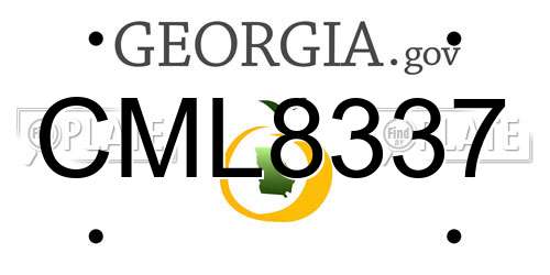 CML8337 Georgia License Plate