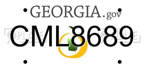 CML8689 Georgia License Plate