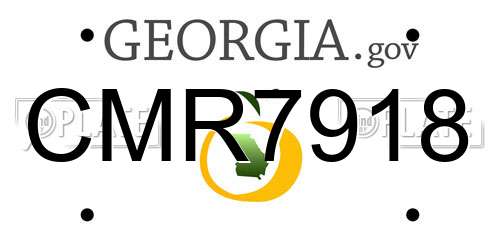 CMR7918 Georgia License Plate
