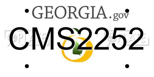 CMS2252 Georgia License Plate