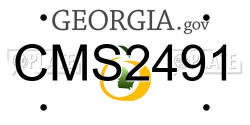 CMS2491 Georgia License Plate