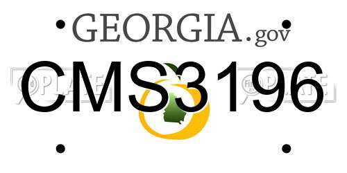 CMS3196 Georgia License Plate