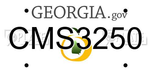 CMS3250 Georgia License Plate