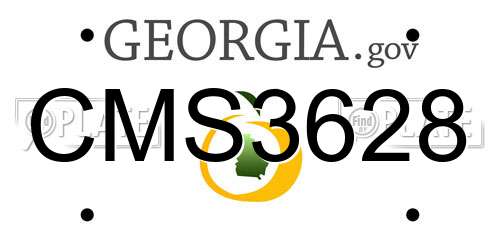 CMS3628 Georgia License Plate