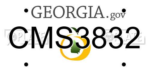 CMS3832 Georgia License Plate