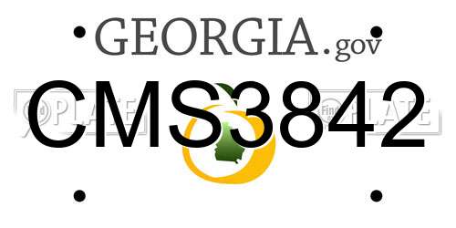 CMS3842 Georgia License Plate