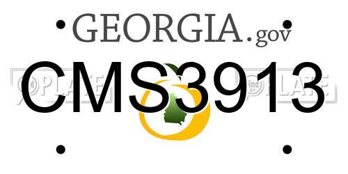 CMS3913 Georgia License Plate