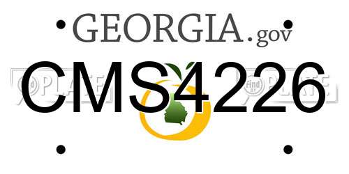 CMS4226 Georgia License Plate