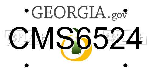 CMS6524 Georgia License Plate