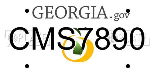 CMS7890 Georgia License Plate