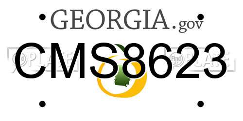 CMS8623 Georgia License Plate