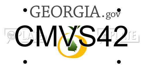 CMVS42 Georgia License Plate
