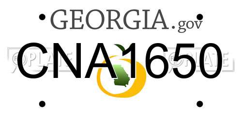 CNA1650 Georgia License Plate