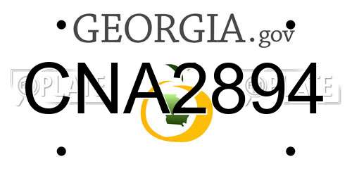 CNA2894 Georgia License Plate