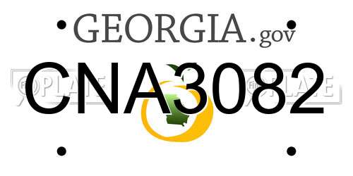 CNA3082 Georgia License Plate