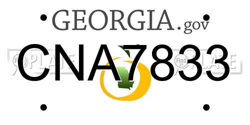 CNA7833 Georgia License Plate