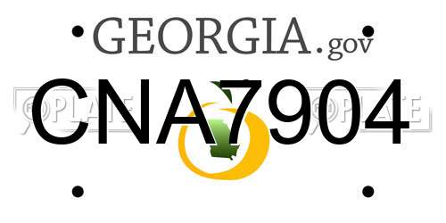 CNA7904 Georgia License Plate