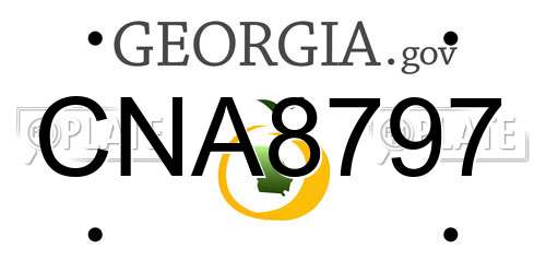 CNA8797 Georgia License Plate