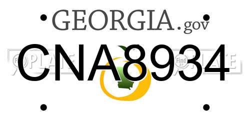 CNA8934 Georgia License Plate