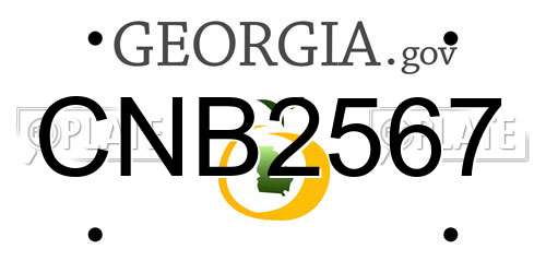 CNB2567 Georgia License Plate