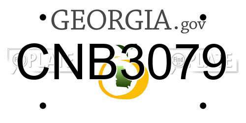 CNB3079 Georgia License Plate