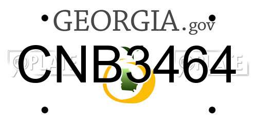 CNB3464 Georgia License Plate