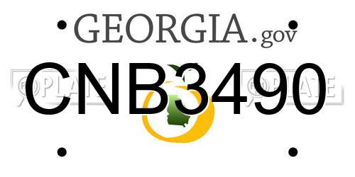 CNB3490 Georgia License Plate