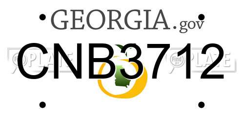 CNB3712 Georgia License Plate