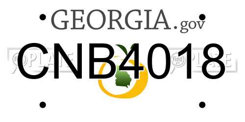 CNB4018 Georgia License Plate