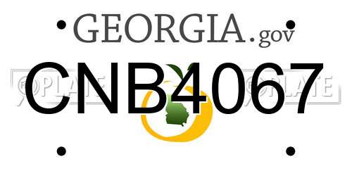 CNB4067 Georgia License Plate
