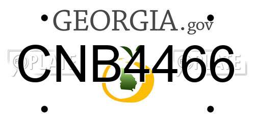 CNB4466 Georgia License Plate